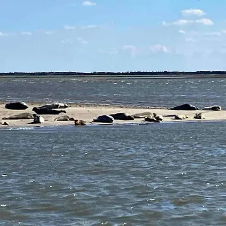 House On Near The Sea Holiday home Fano