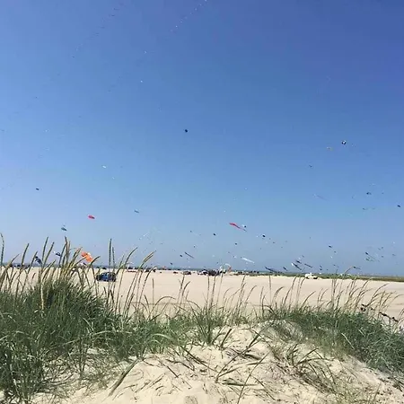 House On Near The Sea * Fano