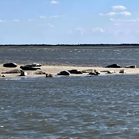 Op Vlakbij De Zee Vakantiehuis