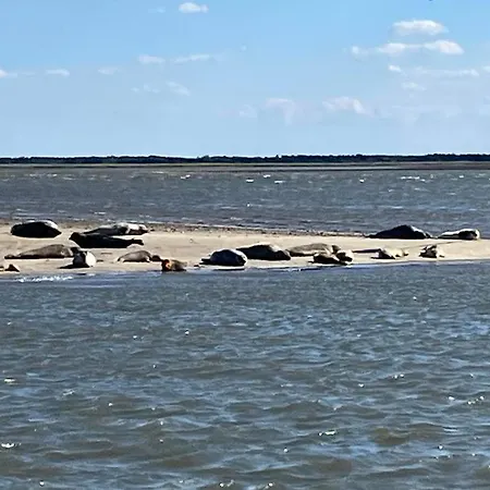 Vakantiehuis Op Vlakbij De Zee *
